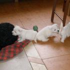 08_miot_l_018.jpg