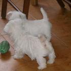 08_miot_l_019.jpg