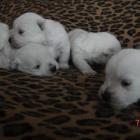 08_miot_m_006.jpg