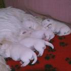 08_miot_m_004.jpg