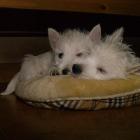 08_miot_d_029.jpg
