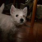 08_miot_d_031.jpg