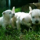 08_miot_d_022.jpg