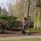 in_the_park01.jpg.jpg
