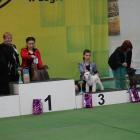 najlepszy_pie_oddz-legionowo.jpg