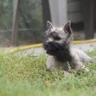DSC08286.jpg