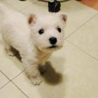 12_miot_m_017.jpg