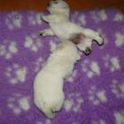 12_miot_m_004.jpg
