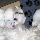 10_miot_c_010.jpg