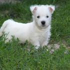 10_miot_r_016.jpg