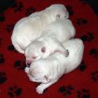 10_miot_p_015.jpg