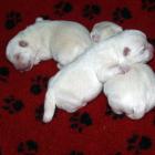 10_miot_p_002.jpg