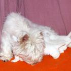 09_miot_n_019.jpg