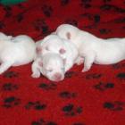 09_miot_n_005.jpg